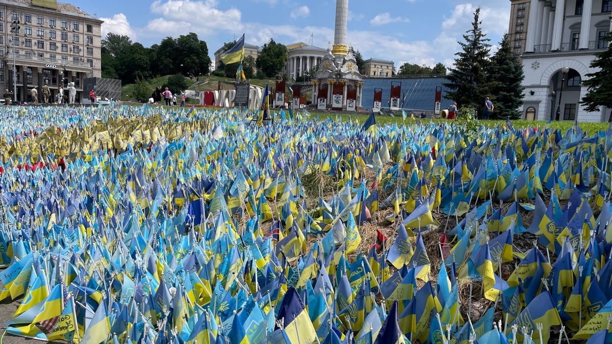 Kyiv flags
