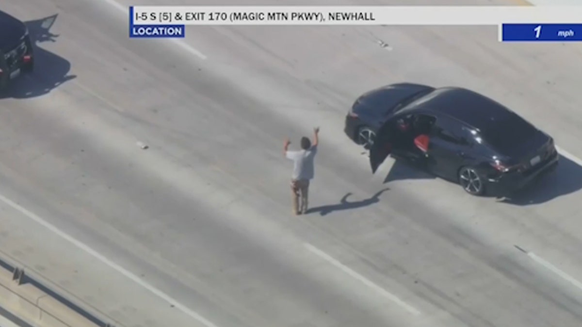 Homeless hitchhiker surrenders to police on freeway