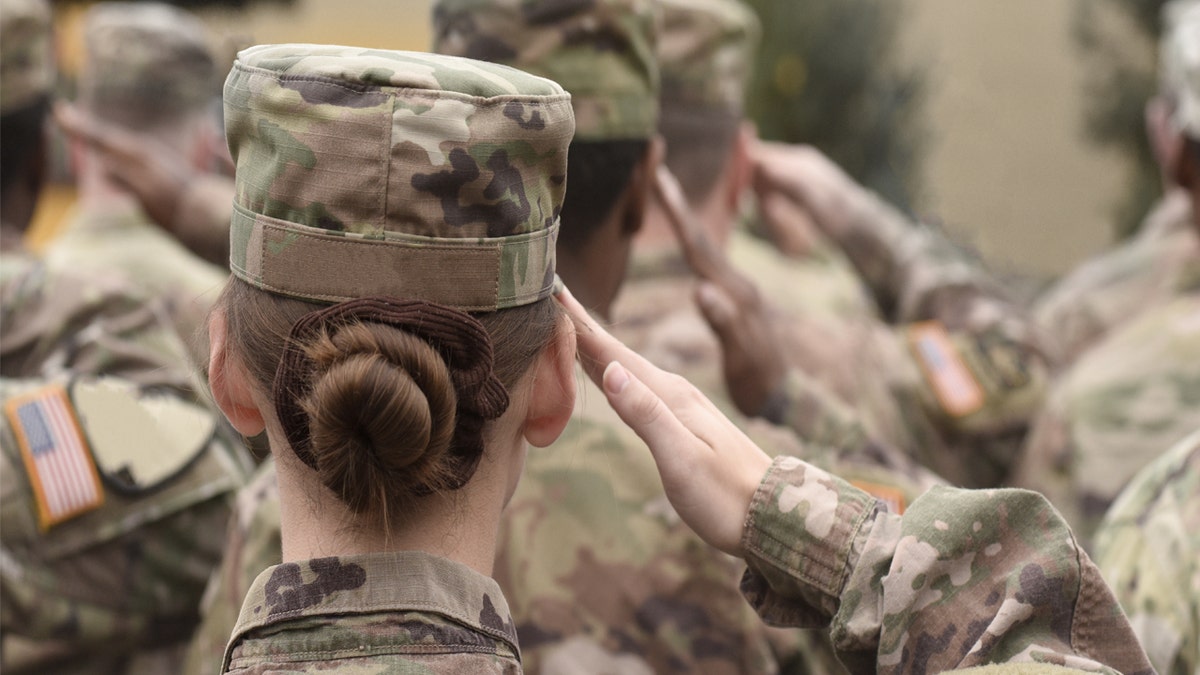 soldiers in formation saluting, seen from behind