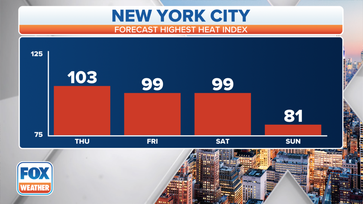 New York City forecast heat index