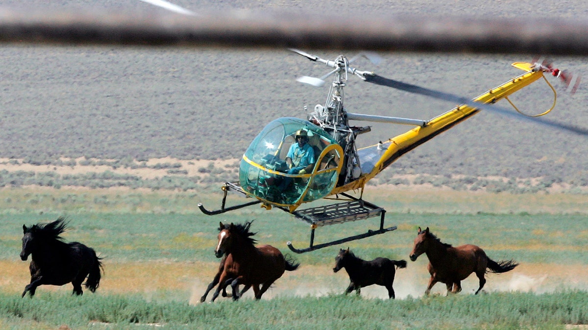Livestock helicopter