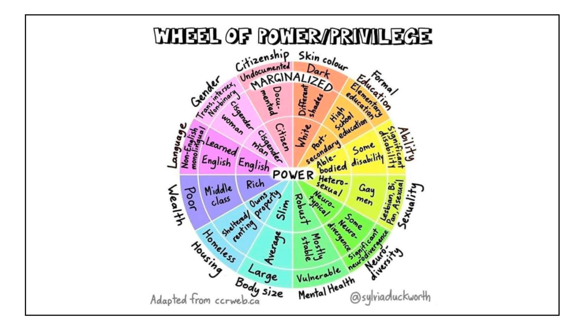 "Wheel of Power/Privilege" slide