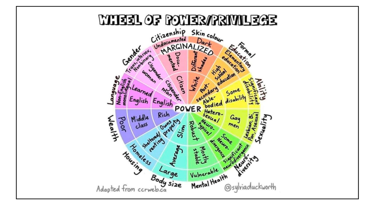 "Wheel of Power/Privilege" slide