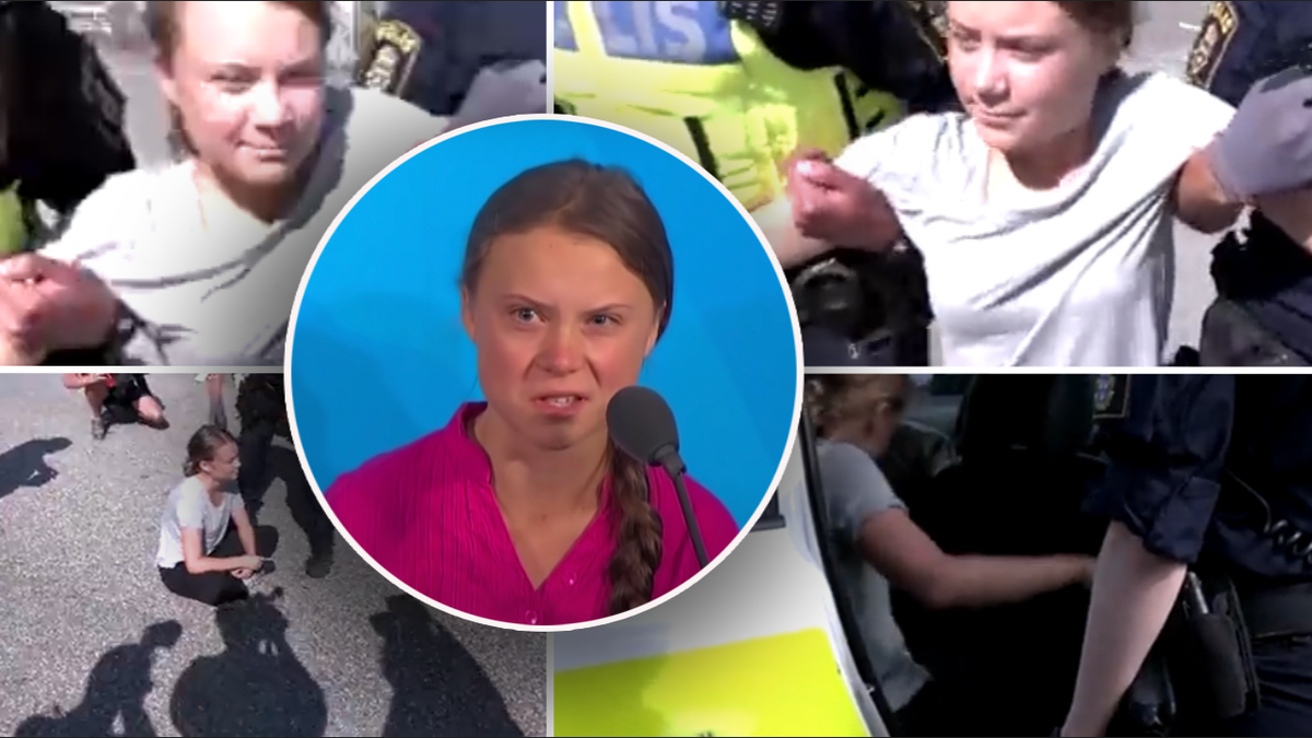 Greta Thunberg protest