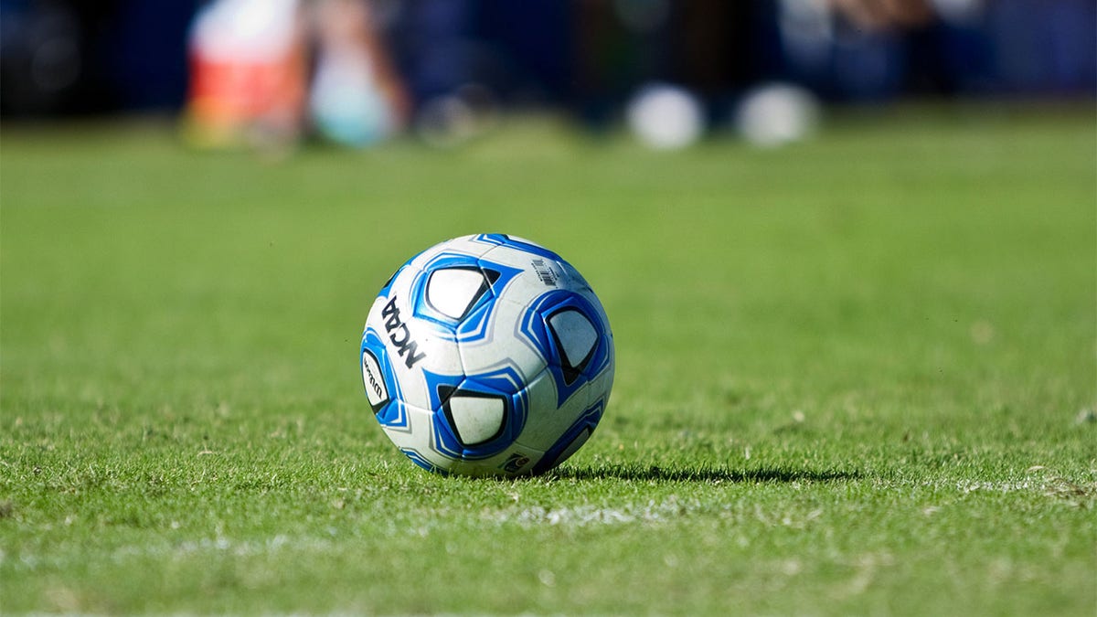 Soccer ball on field