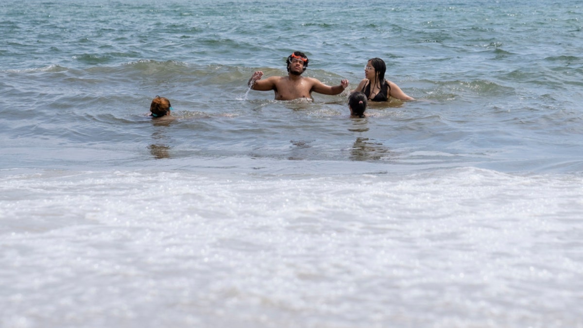 Swimmers in New York waters