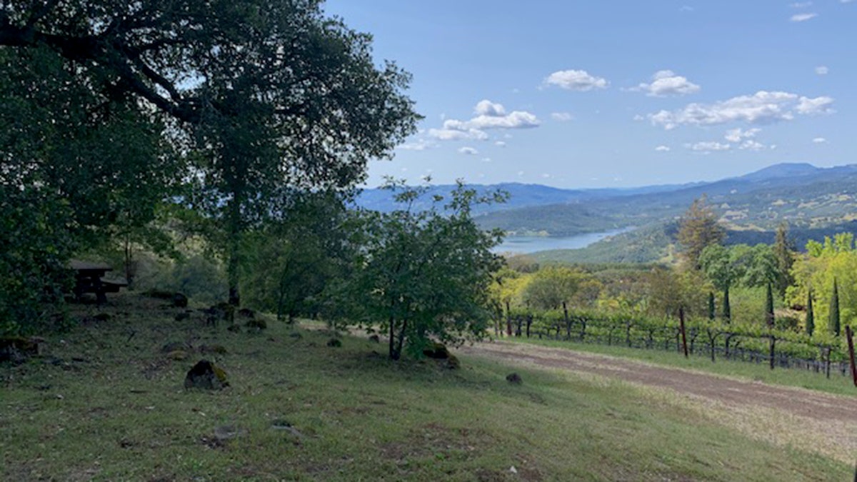 Far Niente winery
