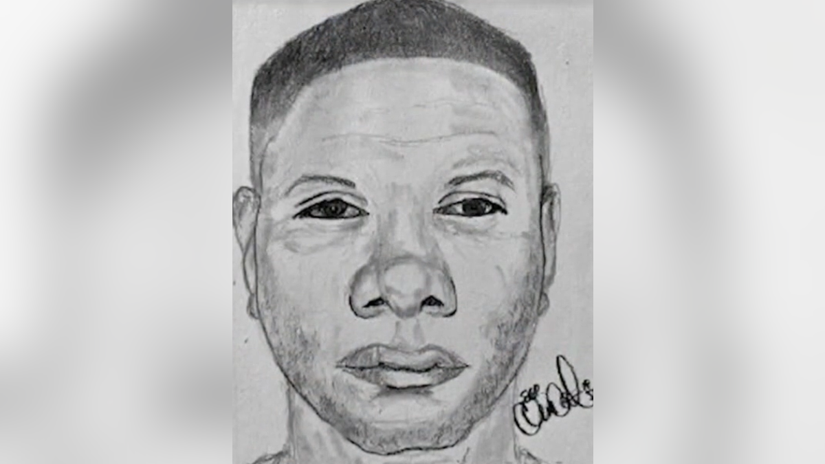 Police sketch of sexual assault suspect