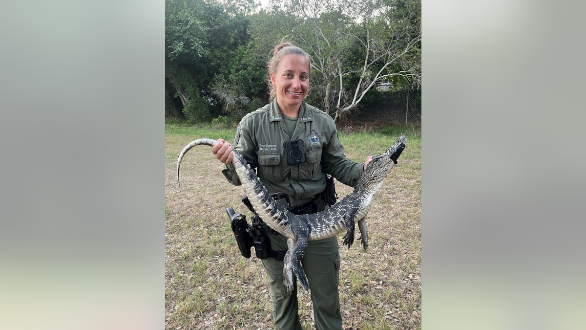 Deputy smiling while holding gator