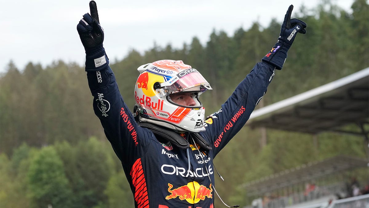 Max Verstappen celebrates