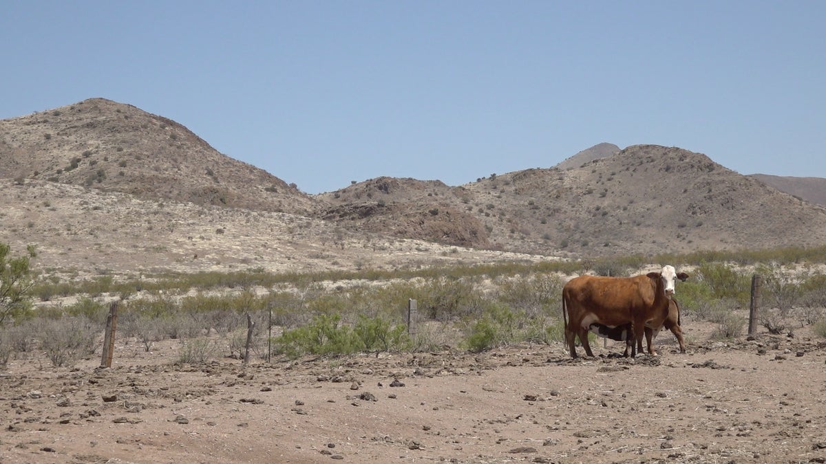 New Mexico ranch along the border