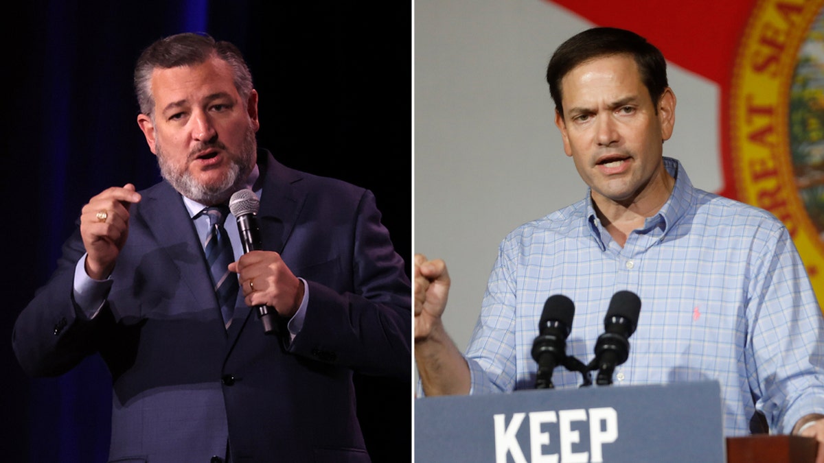 Cruz, Rubio