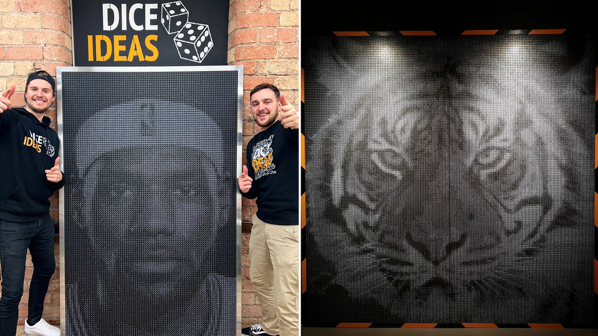 dice guys LeBron James and large tiger split