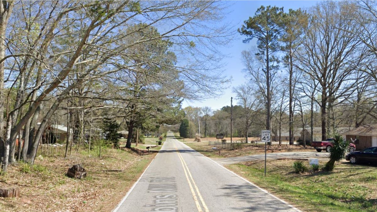 Shot of Dobbins Mill Road