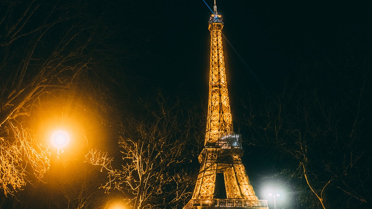 The Eiffel Tower at night