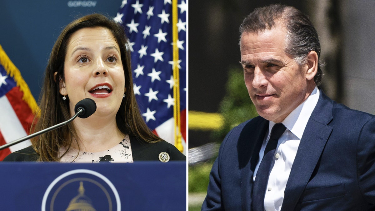 Elise Stefanik, Hunter Biden split