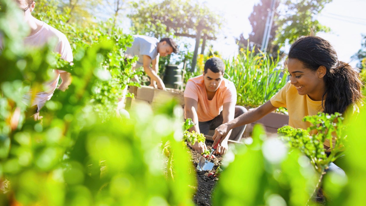 Friends gardening