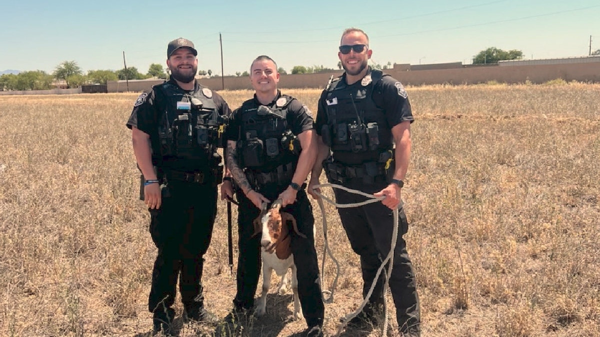 Three officers standing with wrangled goat