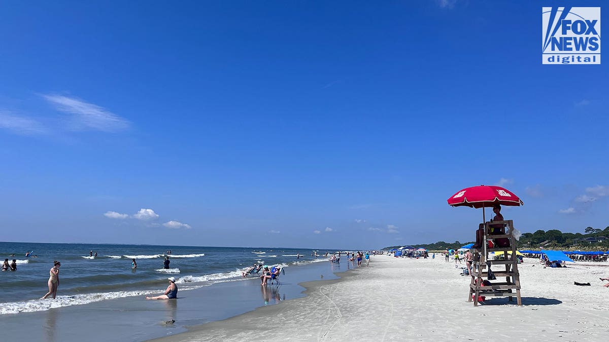Shark bites man at Hilton Head Island beach in South Carolina, officials  say