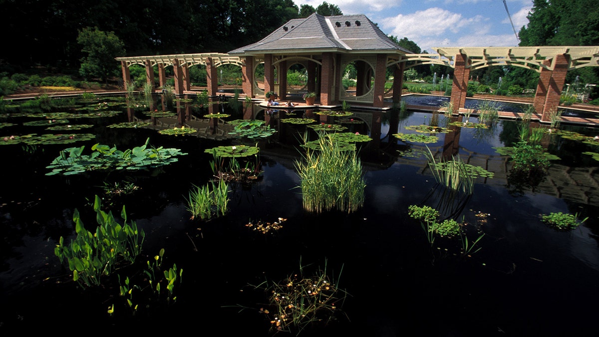 The aquatic garden at Huntsville Botanical Gardens