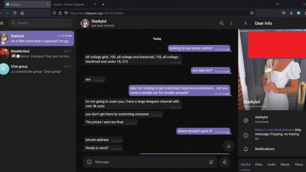 An FBI agent's conversation with Starkylol on Telegram