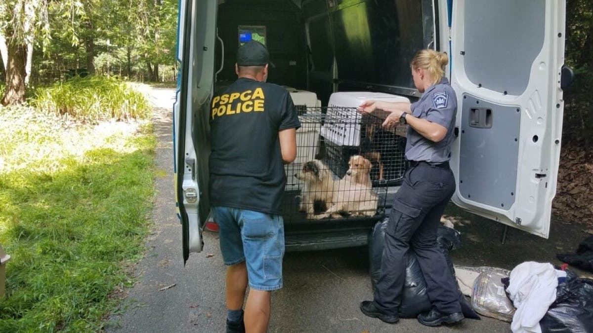 Authorites carrying crates of dogs