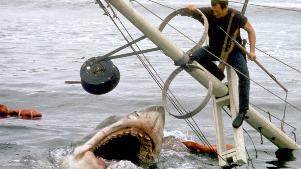 A photo from the set of "Jaws"