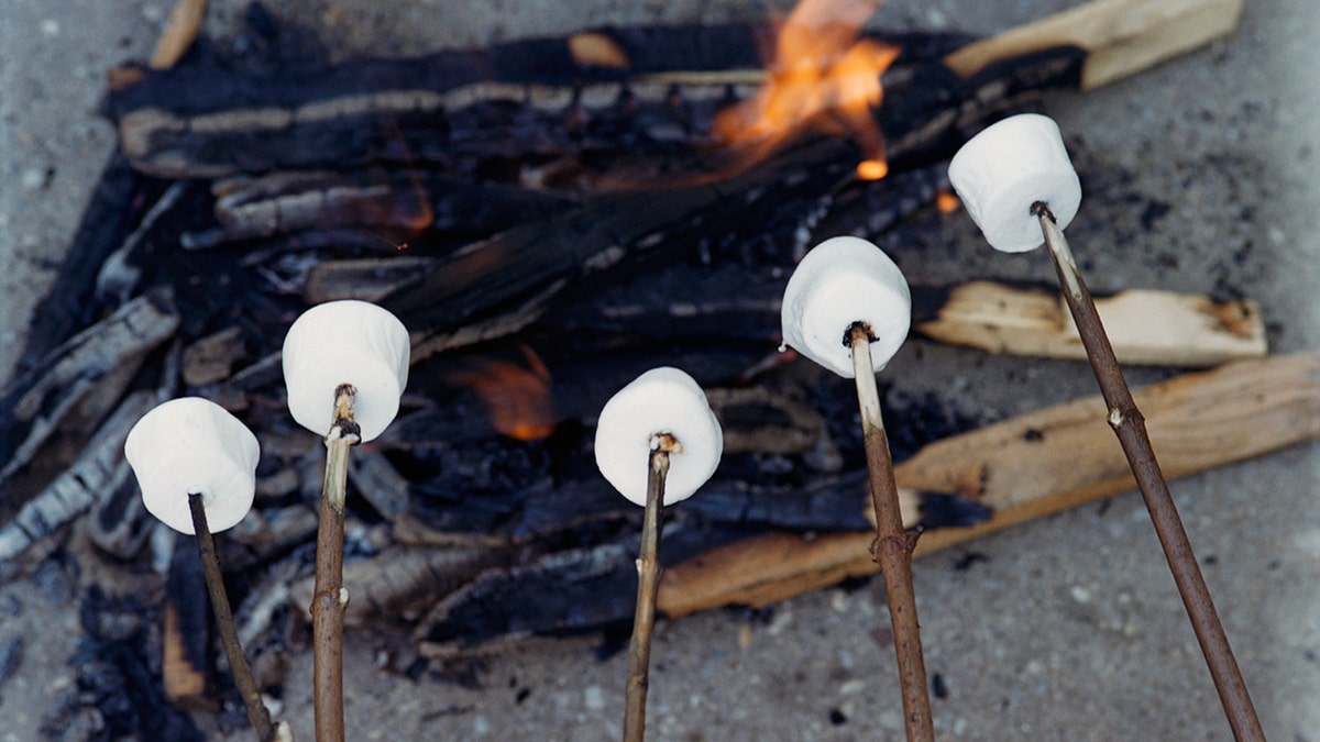 Marshmallows cooking over a campfire 