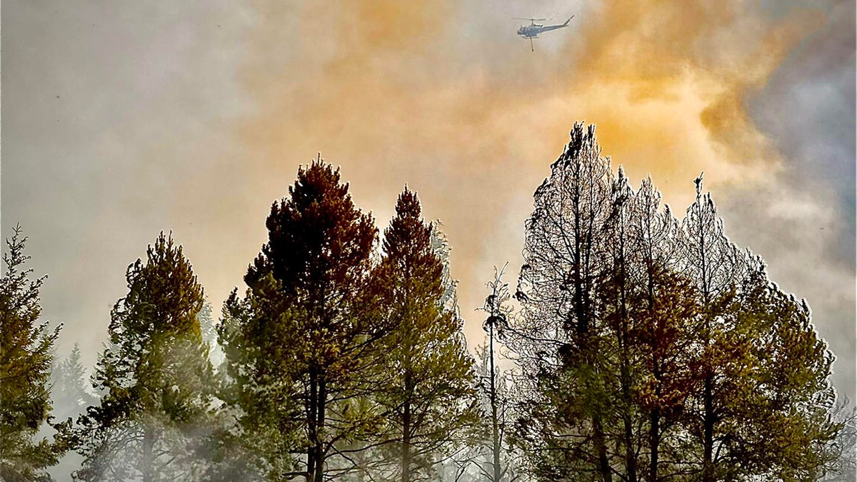 helicopter flying over trees, smoke