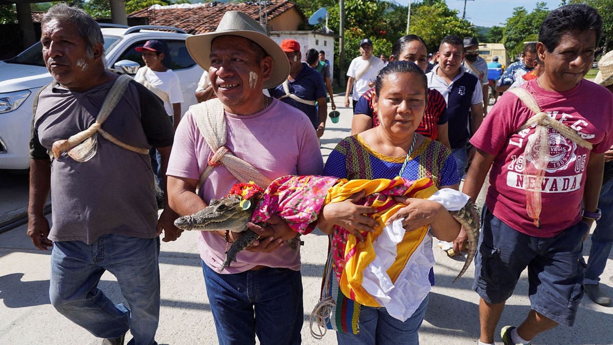 People carry crocodile