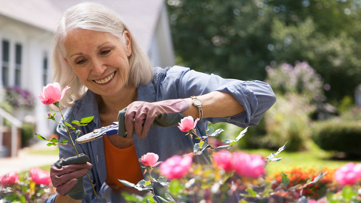 Older woman gardening