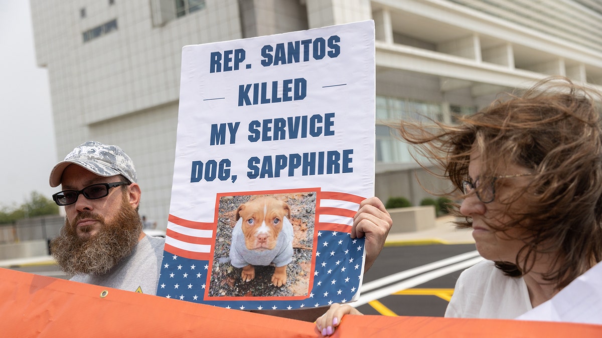 A Santos protester holds a sign that reads, 'Rep. Santos killed my service dog'