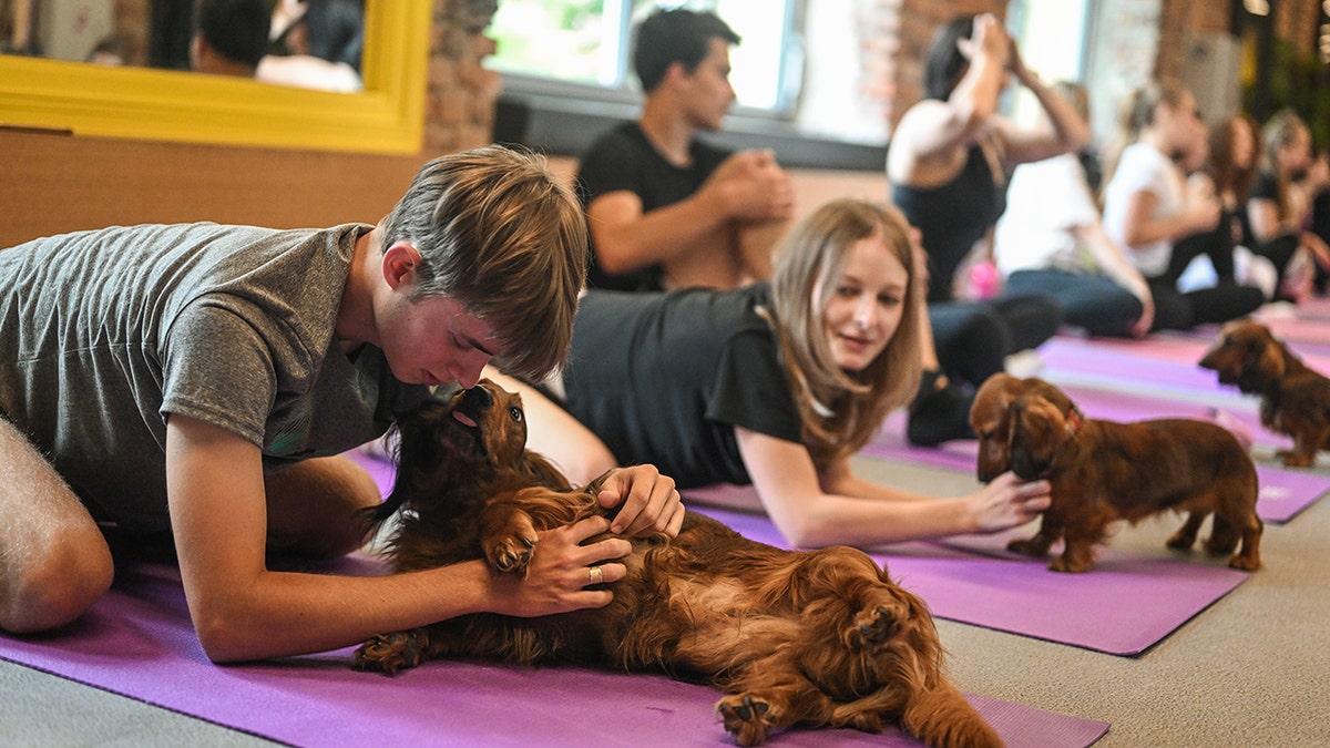 People at a puppy yoga class