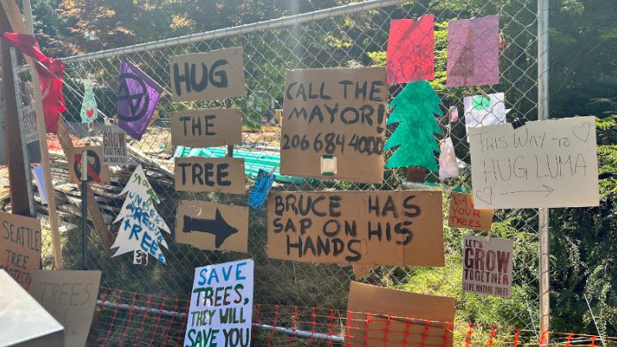 signs calling to save the tree