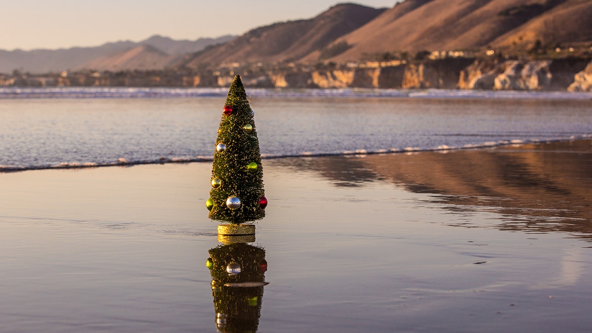 Small Christmas tree on a beach