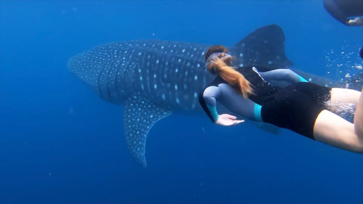 A homeschool family gets an education at sea