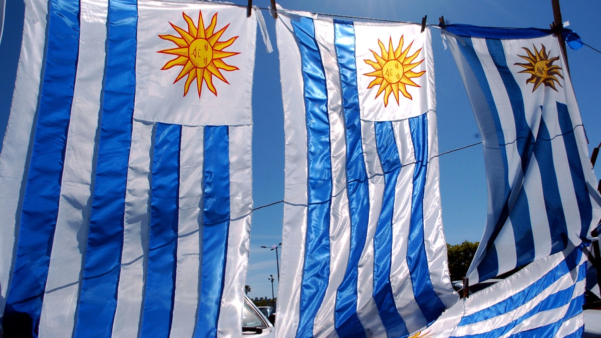 Uruguayan flags