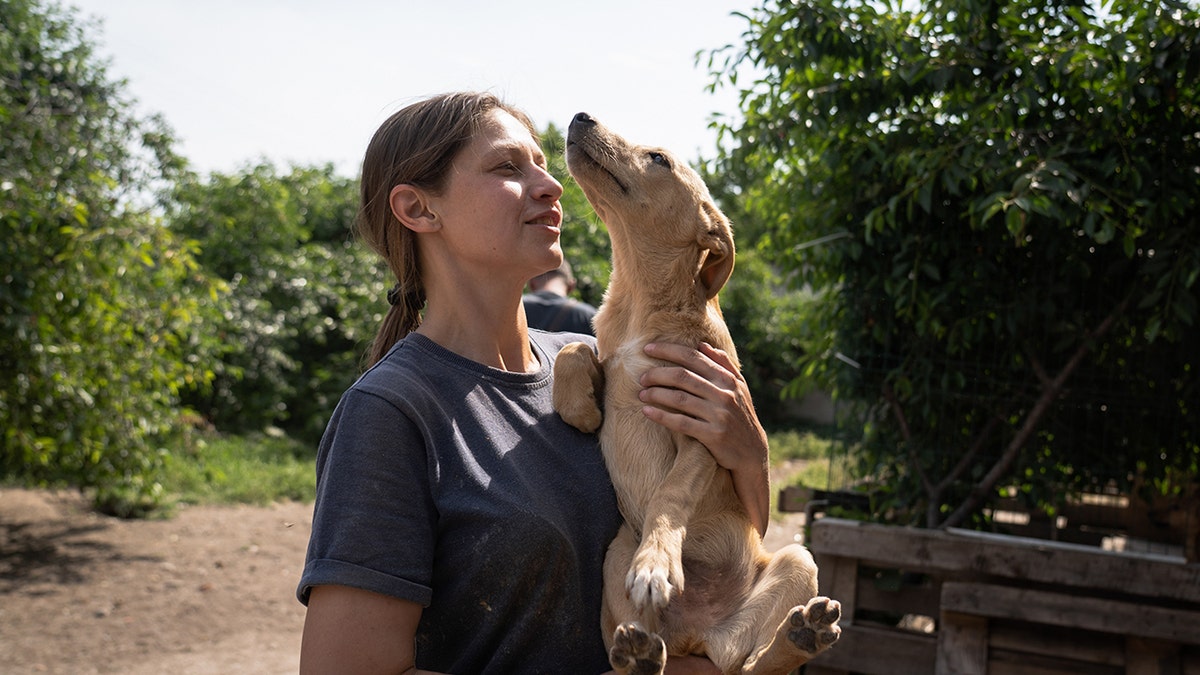 A volunteer holding a dog
