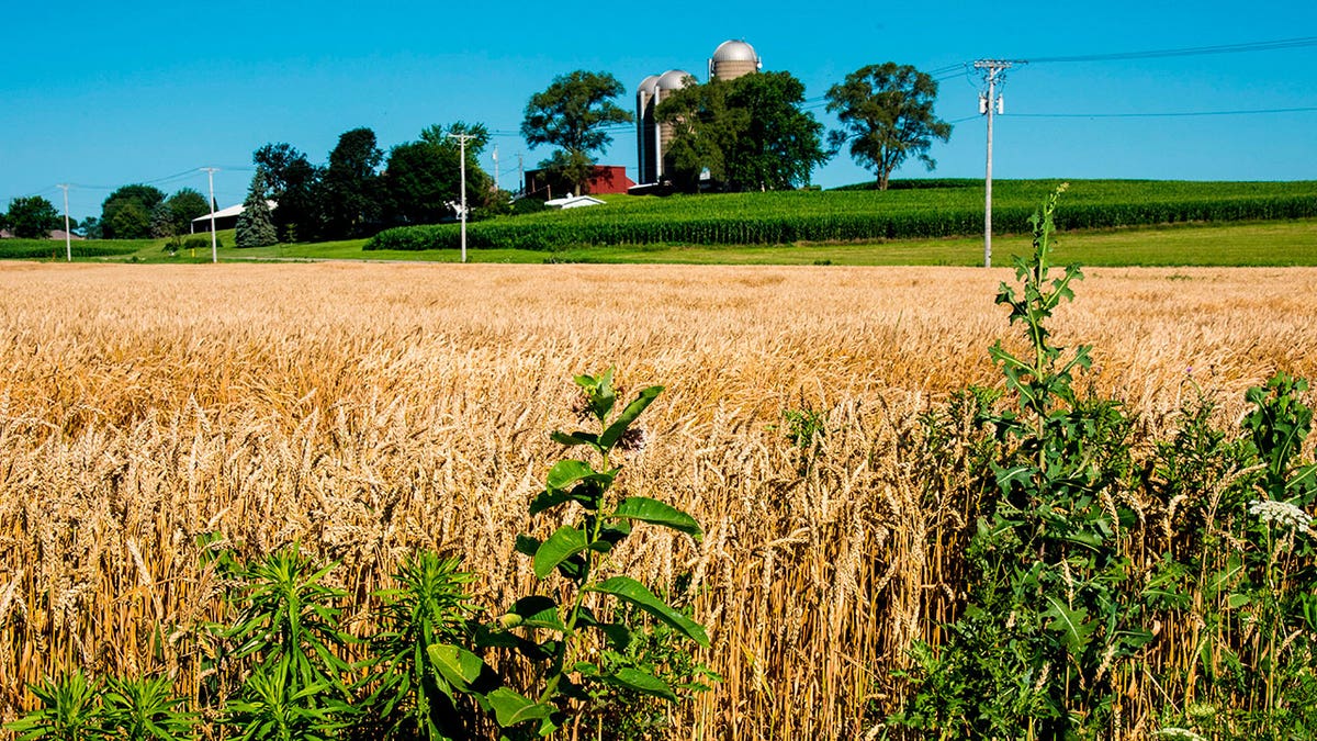 Wisconsin farmland