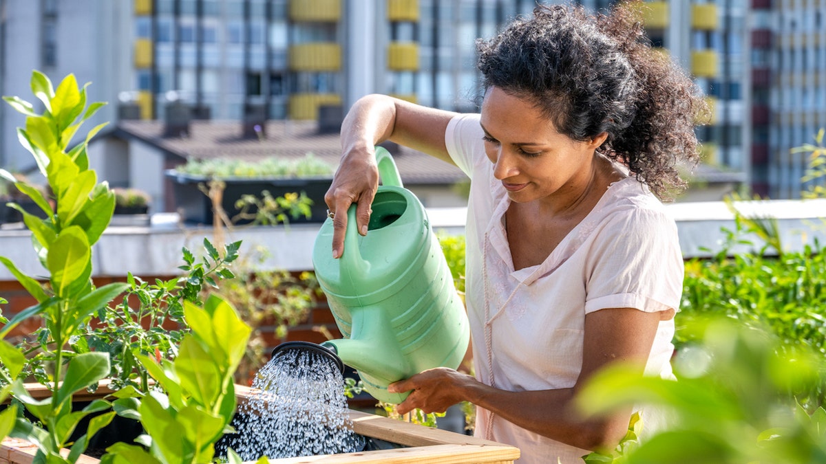 woman watering garden