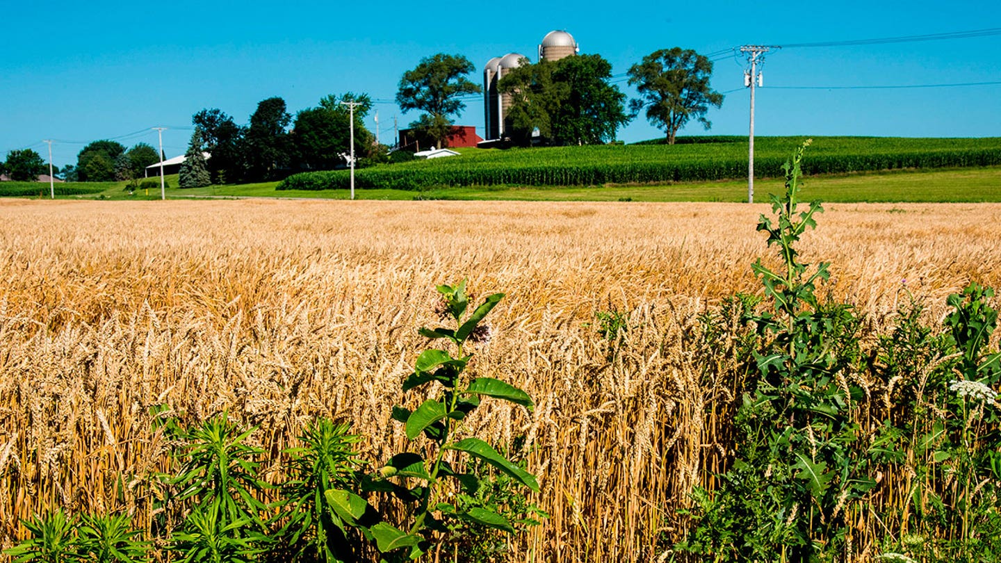 wisconsin farmland