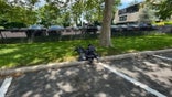 Decapitated goats in bags behind Long Island Burger King