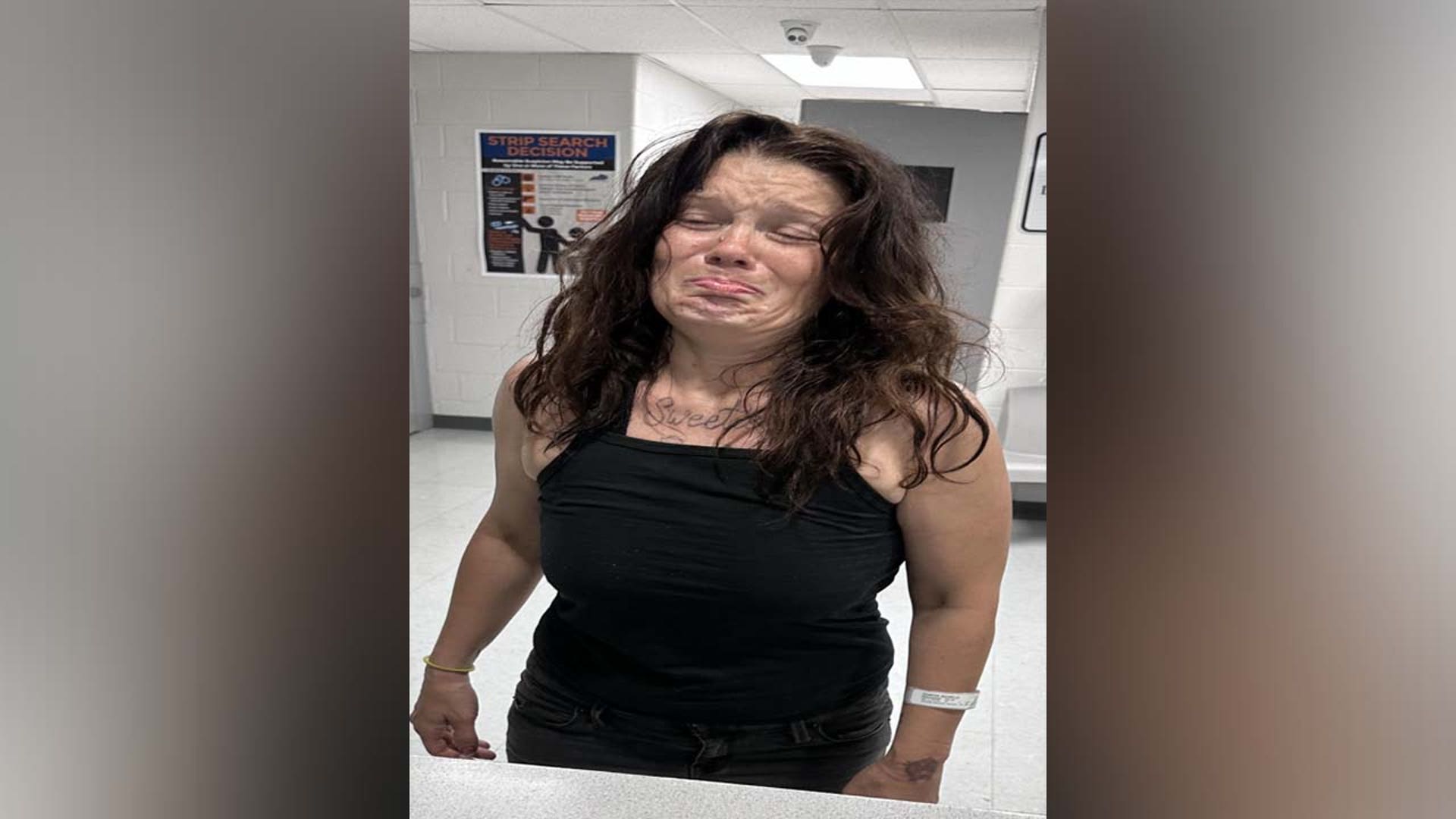 A mugshot of Michelle Schaefer