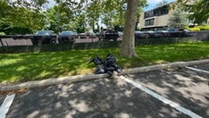 2 decapitated goats found stuffed in garbage bags behind New York Burger King: 'Ritualistic animal sacrifice'