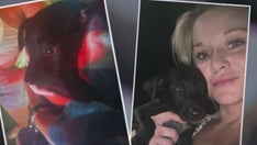 Houston-area woman searching for days in storm drains with cockroaches to rescue lost puppies