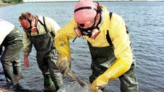 Spanish authorities seek damages from Swedish mining company over major toxic spill 25 years ago