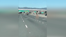 Naked California woman arrested near San Francisco Bay Bridge after shooting at cars: Officials