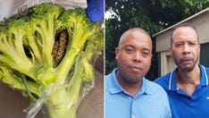 Live snake found in bag of broccoli: 'Pretty frightening,' says grandfather