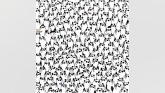 Brain teaser: Can you find the 3 pandas without sunglasses?