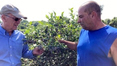 Vermont officials urge farmers to document, report flood-related crop damage